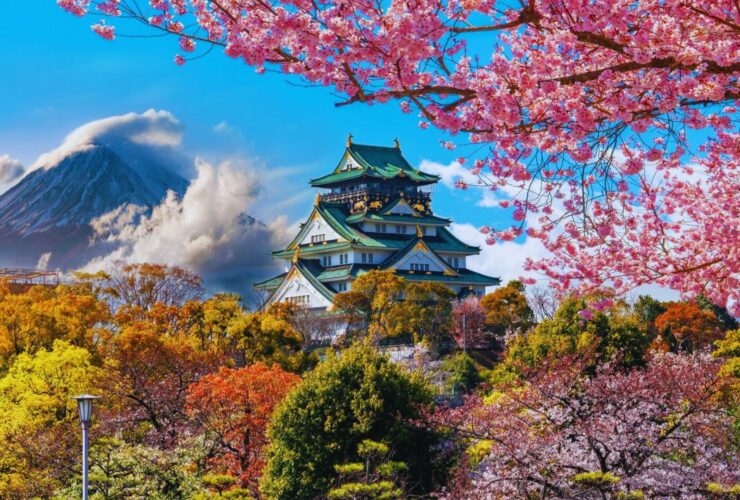 Luxurious Trip To Japan