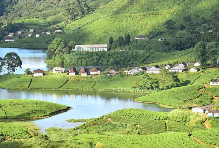 Adventure Trail to the South of India