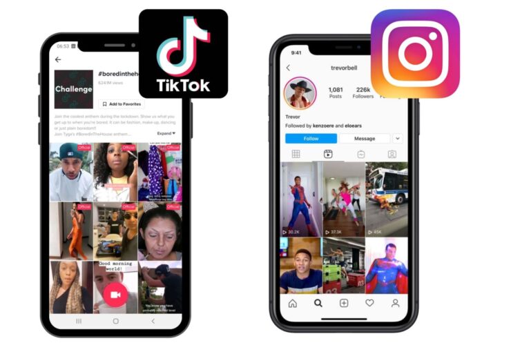 TikTok & Instagram Reels